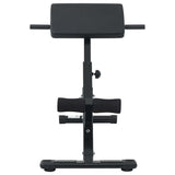 Hyperextension Bench Black 101 x 70 x 71 cm Powder-coated steel 42002573