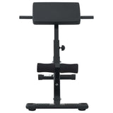 Hyperextension Bench Manual Black 100.5 x 70 x 78 cm 42002573
