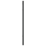 Wall Mirror Black 50x60 cm Rectangle Iron 358647