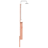 Outdoor Shower 246 cm Solid Douglas Wood and Stainless Steel 886354