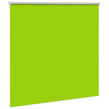 ZNTS Roller Blind Blackout Leaves Green 165x175 cm Fabric Width 161.6 cm Polyester 4011297