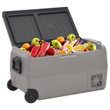 Cool Box with Wheel and Adapter Black & Grey 50 L PP & PE 3154657