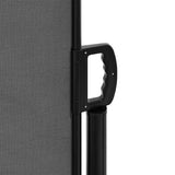 Retractable Side Awning Anthracite 220x1200 cm 4004868