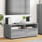 TV Cabinet Grey Sonoma 100 x 48 x 43 cm Engineered Wood 888933
