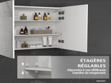 Bathroom Mirror Cabinet with Light, Bathroom Storage Cupboard with Adjustable Shelf, USB Powered, T3398P342287