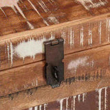Storage Box with Storage with Door Brown Solid Mango Wood 4104570