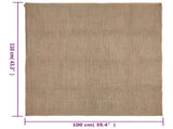 Jute Sacks 10 pcs 100x110 cm 100% Jute 220 gsm 155782