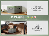 40L Portable Car Refrigerator - Light Green and Grey T3398P349484