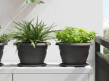 Plant Pots 24 pcs Black 22 x 18 cm Plastic 3403285