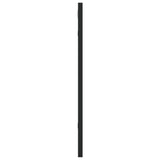 Wall Mirror Black 40x50 cm Rectangle Iron 358646
