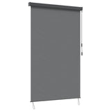 Roller Blind Light Grey 120 x 250 cm Fabric and Aluminum 42037184