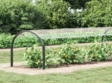 Plant Cover Transparent 10 x 1.5 m PVC 3429369