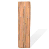Bamboo Fences 2 pcs 100x400 cm 3057515