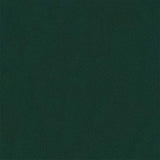Sofas with Cushion 55cm Dark Green Plywood 42023440