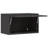 Wall Cabinet for Garage with Gas-lift Door Black 883280