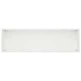 Garden Planter White 100 x 30 x 30 cm Cold-rolled Steel 8005220