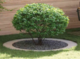 suitable for Flat Tree Rings 5 pcs Silver 90 / 120 cm 873727