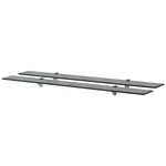 Floating Shelves 2 pcs Glass 100x20 cm 8 mm 3051533