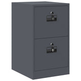 File Cabinet Anthracite 44 x 50 x 74.5 cm Cold-Rolled Steel 891594