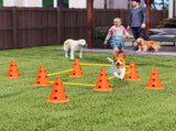 Dog Agility Equipment Set of Eight Cones 96181614