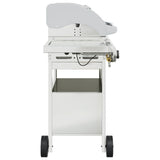 Gas BBQ Grill with 4 Burners Silver Stainless Steel 3214255