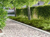 Lawn Edging 10 pcs 103 x 10 cm Steel White 8008326