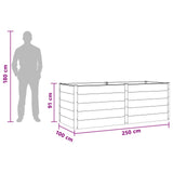 Garden Raised Bed Brown 250 x 100 x 91 cm 42039011