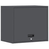 Wall Cabinet for Garage with Gas-lift Door Anthracite 883270