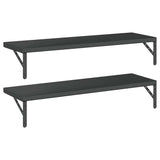 Wall Shelves 2 pcs 100x30 cm Black Stainless Steel 3214512
