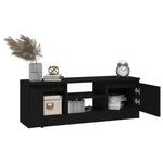 ZNTS TV Cabinet with Door Black 102x30x36 cm 823351