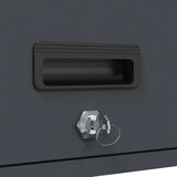 Wall Cabinet for Garage with Gas-lift Door Anthracite 883270