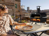 Outdoor Pizza Oven Wood Fired 2-Layer Pizza Ovens Outside Pizza Maker with Stone, Removable Cooking 87975879