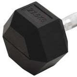 Dumbbell 27.5 kg Cast Iron 93611