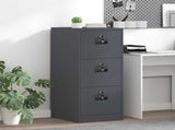 File Cabinet Anthracite 44 x 50 x 106.5 cm Cold-Rolled Steel 891600