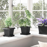 Plant Pots 24 pcs Black 16 x 16 x 14 cm Plastic 3403311