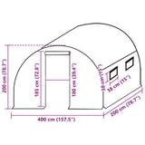 Greenhouse Replacement Cover 400x200x200 cm Green 316443