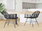 Dining Chair 2 pcs Rattan and Iron Black 57 x 55 x 85 cm 42011559