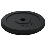 Weight Plate 40 kg Cast Iron 3145054