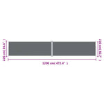Retractable Side Awning Anthracite 220x1200 cm 318086