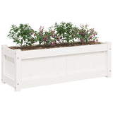 Garden Planters 2 pcs White Solid Wood Pine 837452