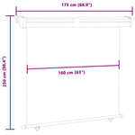 Balcony Side Awning 175x250 cm Black 48436