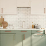 Cabinet Handles 20 pcs Bronze 160 mm Stainless Steel 3203614