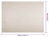 Rug ZIZUR Cream 240x240 cm Jute Look Indoor and Outdoor 4010382