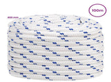 Multipurpose Utility Rope 20 mm 100 m White and Blue PP 3473141