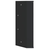 Corner Bathroom Mirror Cabinet Black 30x24x60 cm 357979
