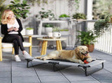 Dog House 33922428