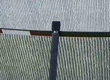 10ft Outdoor Trampoline with Enclosure Net, Spring Cover, Black T3398P425072