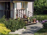 Handrails for Outdoor Steps, Wrought Iron Handrail Fits 1 to 4 Steps, Transitional Handrail with 64898566