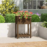 Planter with Shelf Honey Brown 54x34.5x81 cm Solid Wood Pine 823755