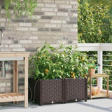 Garden Planter 2 pcs Brown 80 x 40 x 37.5 cm Plastic 42002822